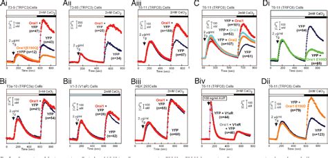 Figure From Orai Proteins Interact With Trpc Channels And Confer