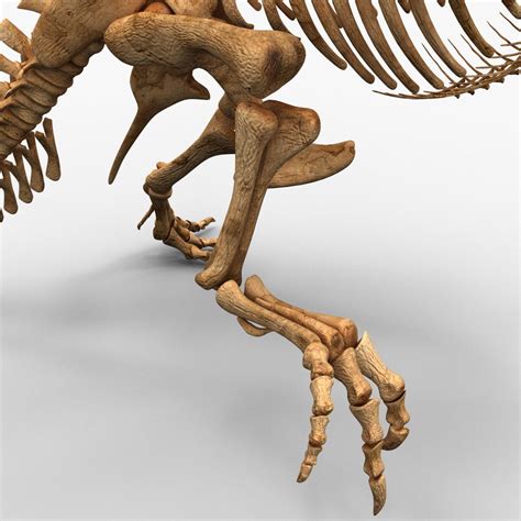 Dinosaur T-Rex Bones 3D Model $99 - .c4d .max .obj .lwo .3ds .ma - Free3D