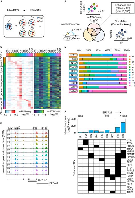 Figure From Integrative Analysis Of Single Cell Rna Seq And Atac Seq