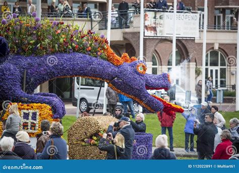 The Flower Parade in the Netherlands at Springtime. Editorial Photo ...