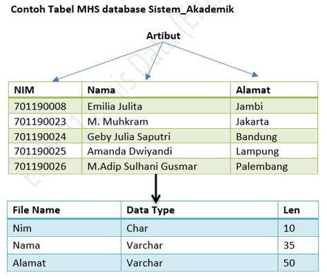 Contoh Struktur Database Model Data Relational Basis Data Images Images