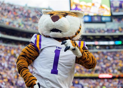 10 of the Most Popular Live Animal College Mascots on Social Media ...