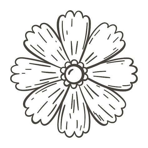 Ilustração Em Vetor Simples Doodle De Flor Selvagem Vetor Premium