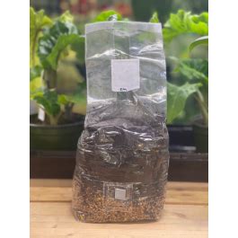 All In One Grow Bag For Dung Loving Mushrooms 4 Lb