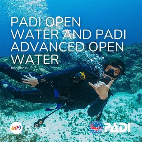 padi open water  padi advanced open water flying fish diving india