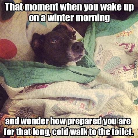 Cozy Winter Memes To Brighten Your Day