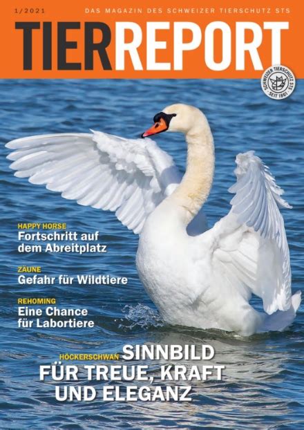 Sts Magazin Schweizer Tierschutz Sts