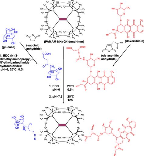 Scheme Of Pamam Doxorubicin Glucose Pamam Dox Glc Conjugate Synthesis