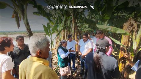 Piura Agricultores Piden Que Ayuda Se Haga Efectiva Sin Retraso