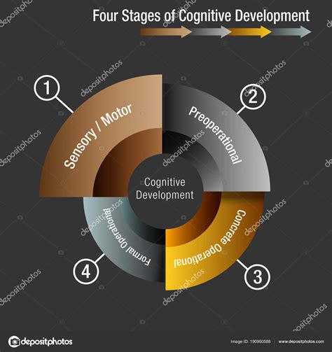 Cognitive Development Stages Chart | Labb by AG