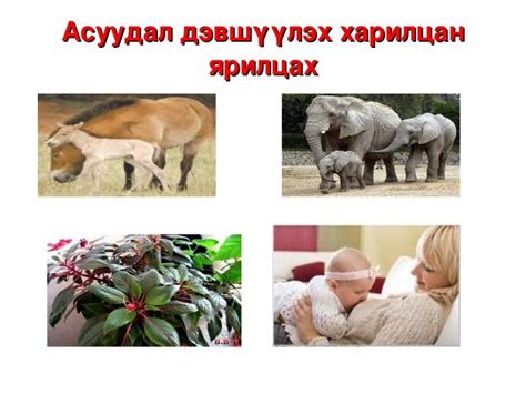 4ангийнбайгалийн ухаан отгонтуяа