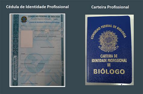 Conheça a estrutura das provas do Concurso para Agente Fiscal do CRBIO