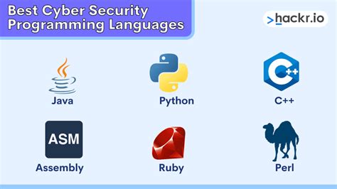 What Programming Language Should I Learn For Cyber Security Red Team