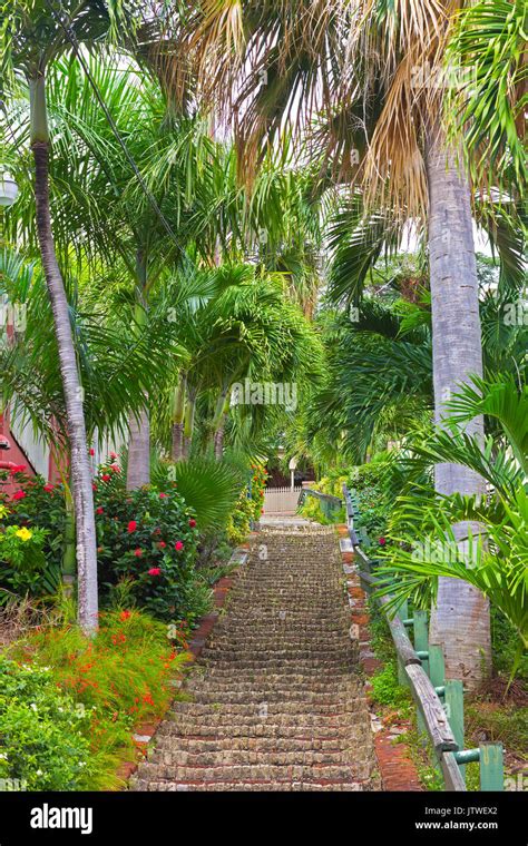 The 99 Steps In Charlotte Amalie St Thomas Usvi The Picturesque