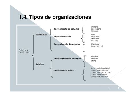 Transparencias Tipos De Organizaciones 1 Tipos De Organizaciones Segúnel Sectorde Actividad