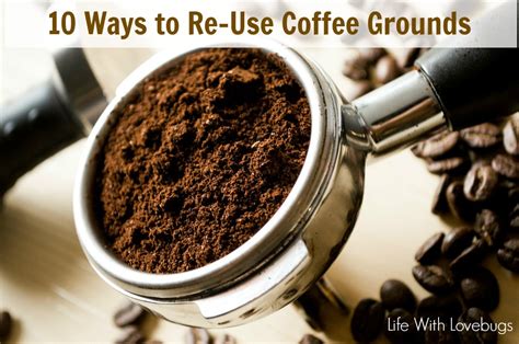 10 Ways to Re-Use Coffee Grounds - Life With Lovebugs