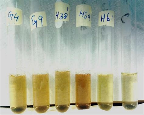 Table 1 From Characterization Of Effective Rhizobacteria Isolated From