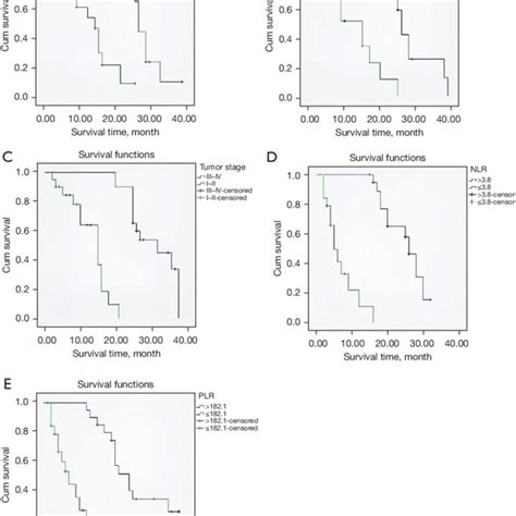 Survival Rate Analysis A Survival Curves Of Patients With Different