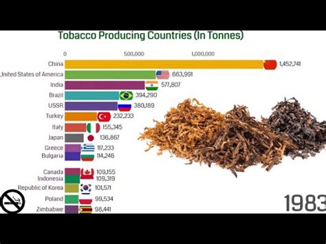 Tobacco Producing Countries Tobacco Producers Youtube