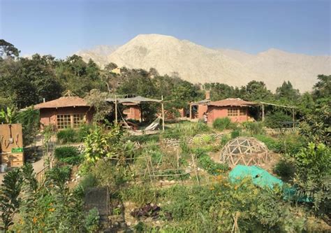 Ecoaldeas vivir en el campo en sintonía con el medio ambiente Portal CDT