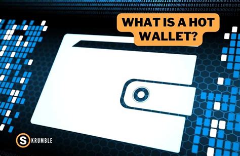 What Is A Hot Wallet How It Works And Security Skrumble