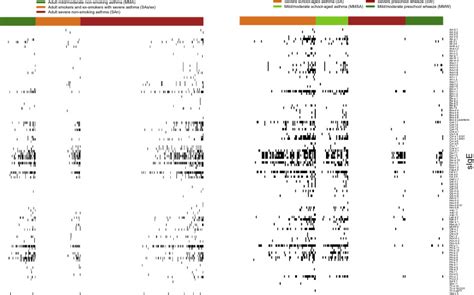 Connectivity Patterns Between Multiple Allergen Specific Ige Antibodies