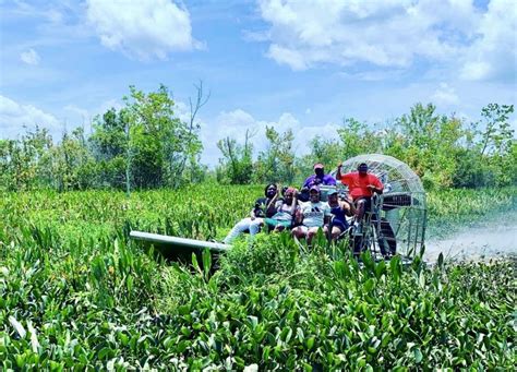 New Orleans Passenger Premium Airboat Swamp Tour Getyourguide