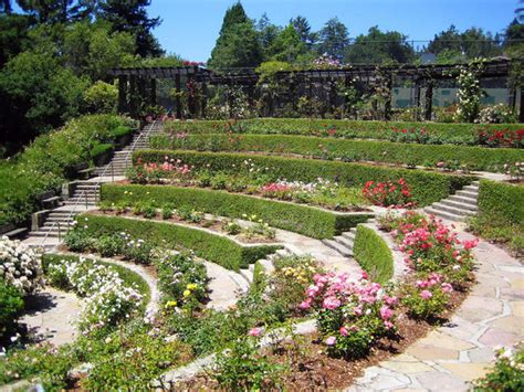 Berkeley Rose Garden