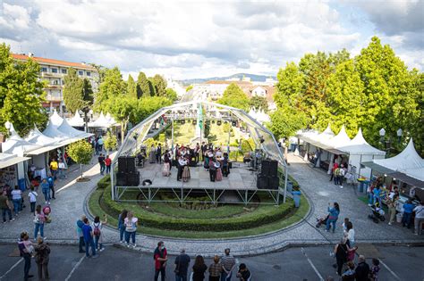 Artesanato E Gastronomia Em Destaque Na Mealhada Ao Longo De Nove Dias