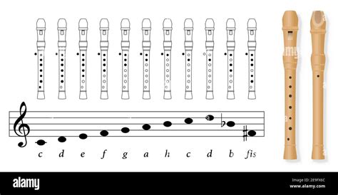 Fingering chart for recorder tuned in C, german notation, with black ...