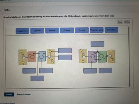 Answered Part A Drag The Labels Onto The Diagram Bartleby