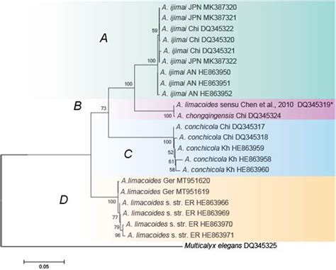 Phylogenetic Tree Based On Analyses Of Its1 58s Its2 Sequences Of