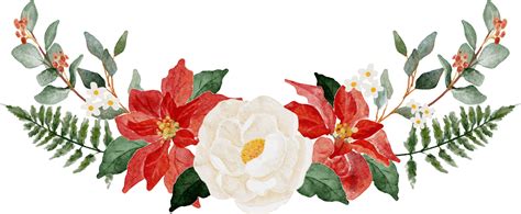 Watercolor Christmas Poinsettia Flower Bouquet Elements 11996884 PNG