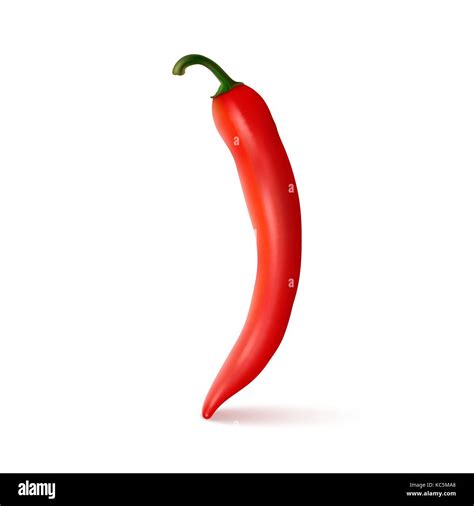 Vector Realista Red Hot Chili Pepper Natural Plantilla De Diseño O