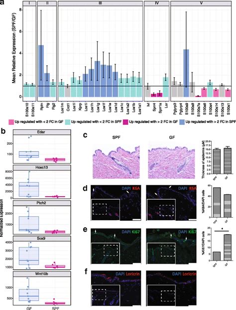 Genes In The Epidermal Differentiation Complex Edc Are Under