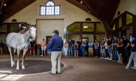 VISIT HORSE COUNTRY | Three Chimneys