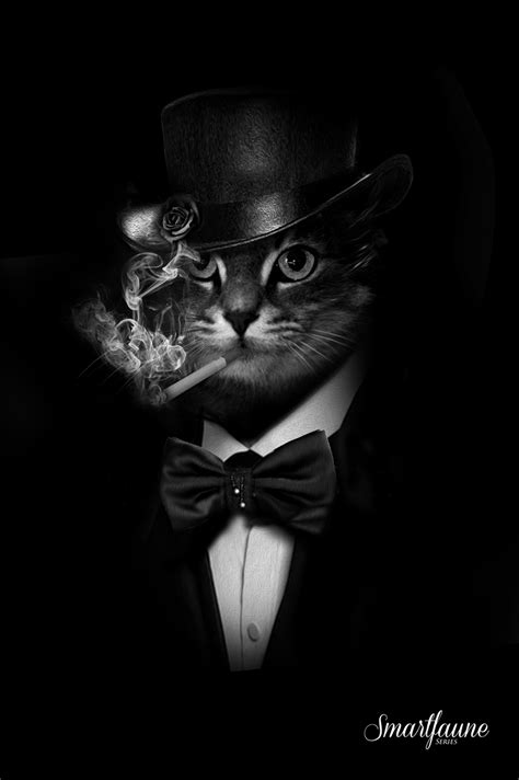 A Smoking Cat Black Smoke Cat Background Image For Free Download