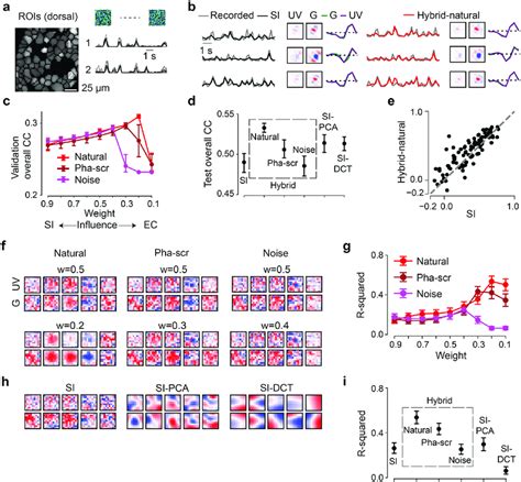 Neural Encoding Tasks Benefit From Natural Scene Statistics A