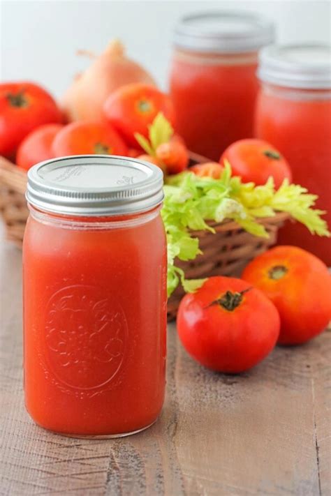 Homemade Tomato Vegetable Juice Olgas Flavor Factory