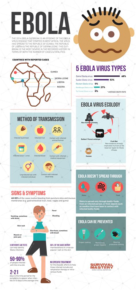 The Ebola Virus: Virus Origin, Transmission, Symptoms and Recovery