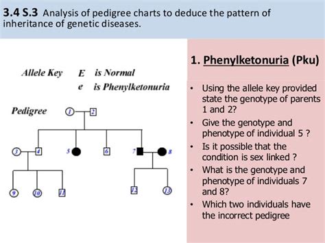 Ib Biology 34 Inheritance