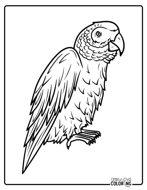 Parrot Coloring Pages (Free PDF Printables) - Simply Love Coloring