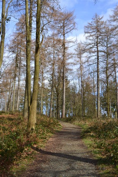 Exploring North Wales Woodland Walk At Chirk Castle