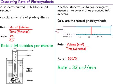 Rate of Photosynthesis | Teaching Resources