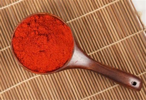 Red Hot Chilli Powder Kg Pp Bag At Kg In Anklav Id