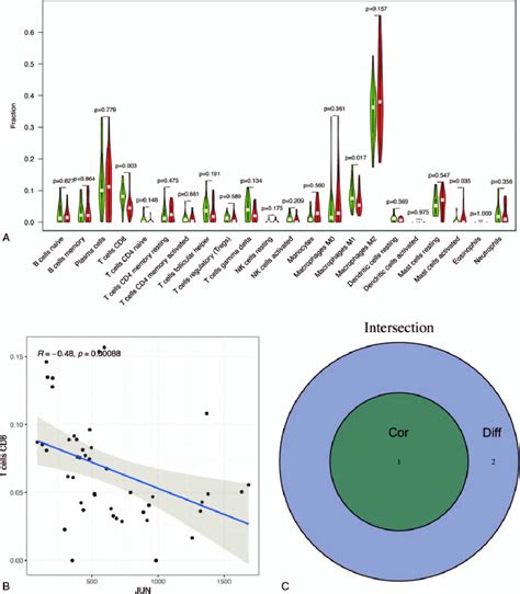 Correlation Of Immune Infiltration With Jun Expression In Ra A