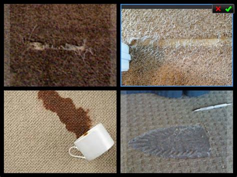 If Your Carpet Has Open Seams Ripples Bald Spots As Well As Other