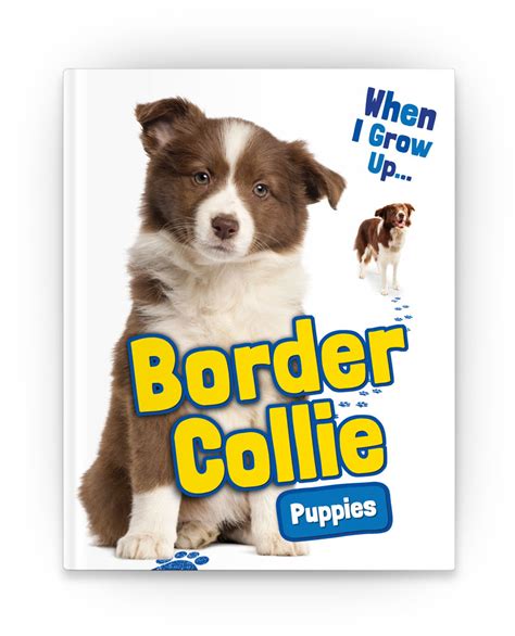 Border Collie Puppies Ebook Gray Duck