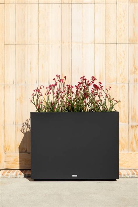 Rectangular Indoor Planters Foter