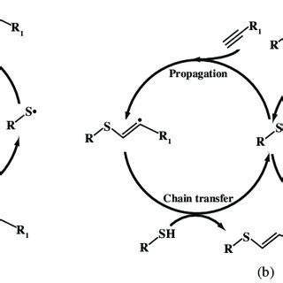 Radical Mediated Step Growth Polymerization Mechanisms Of A Thiol Ene